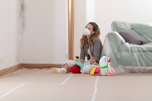 Reliable Mold Remediation contractor in Englewood, CO by WQB Mold Removal